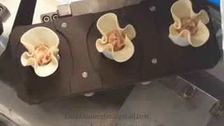 Dumpling machine with full automation全自動餃子機