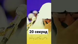 очень красивая читает КОРАН | Мухаммад Раыд Аль Курди | very beautiful reciting Quran Muhammad Kurdi