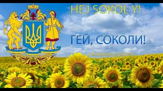 Гей, Соколи "Українські соколи"