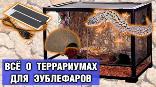 Террариум для геккона эублефара — Обустройство, размеры, оформление