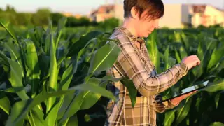 The Future of Agriculture