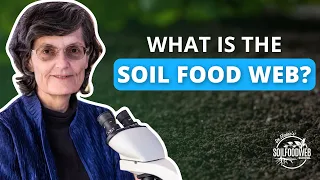 What is the Soil Food Web? | Soil Food Web School