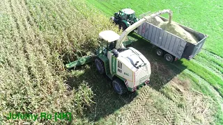 Maishäckseln mit LU Biggel, Krone Big X 1100 mit 12 Reihen Maisgebiss, Deutz 6190 TTV, Fliegl[4K]