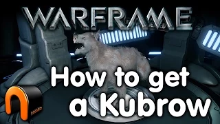 Warframe How to get a Kubrow
