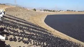 Why Are 96,000,000 Black Balls in this Reservoir!