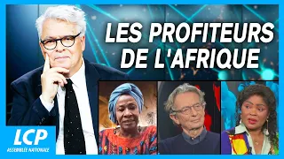 Les profiteurs de l'Afrique - Ces idées qui gouvernent le monde
