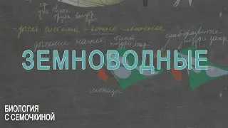 Земноводные