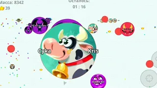 🐄  Madame Moo 🐄  DRAW  skins/ SOLO GAMEPLAY IN AGAR.IO MOBILE   panda fun / new skins agario