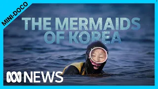 Follow Korea’s oldest free divers on their underwater treasure hunt | ABC News
