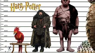 Harry Potter - creature size comparison