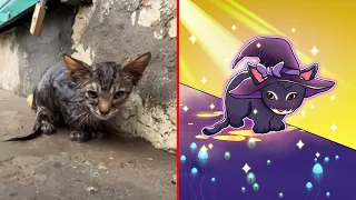 😂Cat Memes: Poor Cat and Funniest Dogs (updated) 😅 Trending Funny Animals Tiktok 2023 😹 part 28