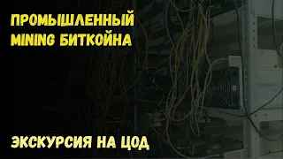 Доходность AntMiner L7 после халвинга