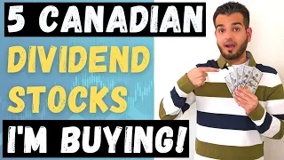 5 Best Canadian Dividend Growth Stocks to Buy Now 2024