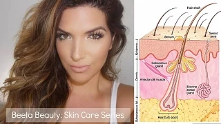 Skin Care Series: Understanding The Skin Layers | BEETA BEAUTY