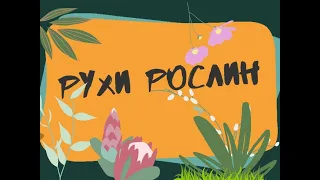 Рухи рослин. Тропізми. Настії.