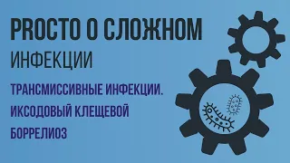 PROСТО О СЛОЖНОМ.Иксодовый клещевой боррелиоз, Инфекционные болезни №5