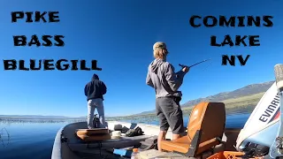 AGGRESSIVE Pike Eats Lure At The Boat! Comins Lake Nevada