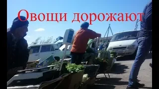 Цены в Копанях 18 апреля