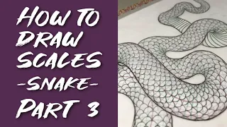 Episode 9: How to draw SCALES (Snake) - Part 3