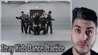Stray Kids "락 (樂) (LALALALA)" Dance Practice Video REACTION | KPOP TEPKİ