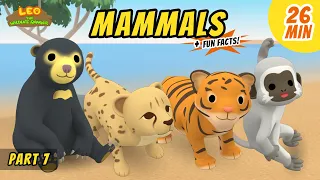 Mammals (Part 7/8) - Fun, Exciting Animals Stories for Kids | Educational | Leo the Wildlife Ranger