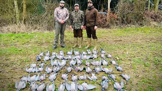 Pigeon Shooting Feb 2024 on rape