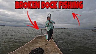 This BROKEN DOCK was LOADED with KEEPER FISH (Galveston Tx)