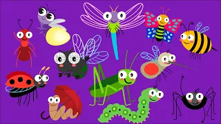 Bugs Insects Song | Shapes Color number | Kitchen Pretend Play