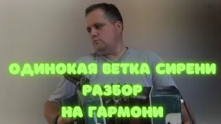 Одинокая ветка сирени разбор на гармони