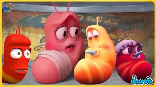 🔴LARVA CARTOON MOVIE FULL EPISODE: FAMILY SPECIAL | THE BEST OF FUNNY CARTOON | COMEDY VIDEO 2023