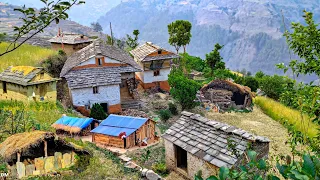 west organic best himalayan beautiful and old man hard working unseen village life in nepal .