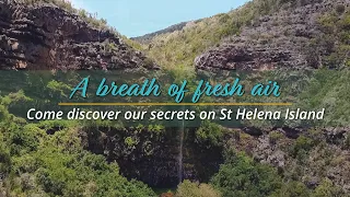 Come discover our secrets on St Helena Island.