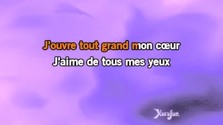 Karaoké Je n'aurai pas le temps - Michel Fugain *