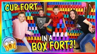 OUR HUGE CUP FORT IN A BOX FORT! | We Are The Davises