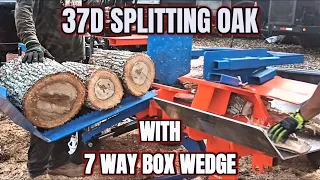 37D Splitting Live Oak With The 7 Way Box Wedge First Time