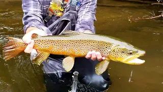 Clarion River Flyfishing- 2022 Pennsylvania Trout Tour