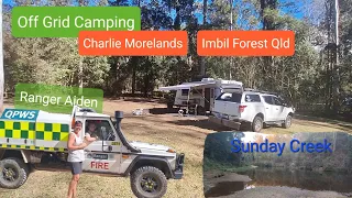 Charlie Morelands N.P Imbil State Forest Qld August 2023