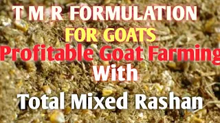 Total Mixed Rashan | Tmr formulation for goats n sheep