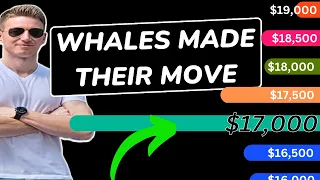 Crypto Market: Whales Made Their Move?