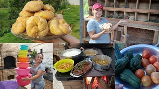 VEJA COMO FICOU O NOVO GALINHEIRO/LIMPANDO E COLHENDO OS OVOS+ROSQUINHA DE NATA+JANTAR+SORTUDA EU😃