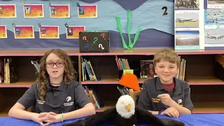 Eagle Nest News Wed 2-7-24