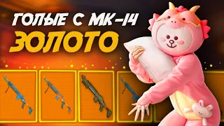 ГОЛЫЕ С ЗОЛОТЫМИ МК-14 ✨🏆В МЕТРО РОЯЛЬ | PUBG Mobile METRO ROYALE