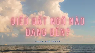 Điều bất ngờ nào sắp đến trong cuộc sống của bạn? || Swanlake Tarot