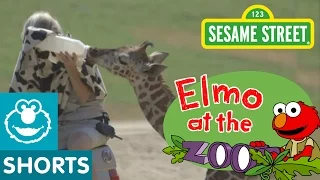 Elmo Visits Baby Animals (Elmo at the Zoo #4)