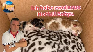 Ich habe zwei neue Notfall Babys.