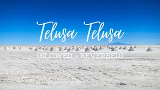 Telusa Telusa [Slowed + Reverbed] | Jubin Nautiyal, Sameera Bharadwaj | Sarrainodu | S. Thaman