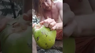 Open a Green Coconut with No Tools!