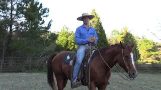 How To Relax When Riding A Horse