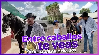 Pepe Aguilar - El Vlog 205 - Entre Caballos te Veas