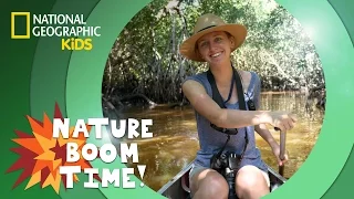 Florida Everglades | Nature Boom Time